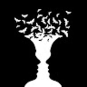 Meet your Posher, Lin